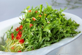 凉拌苦菊