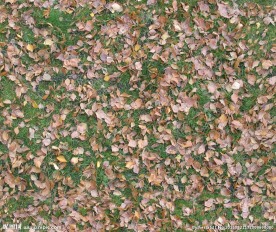 精品地表纹理 地表图像素材