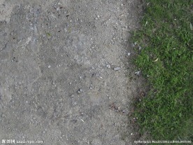 精品地表纹理 地表图像素材