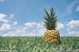 菠萝