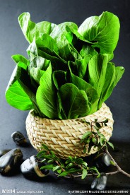 广东菜心