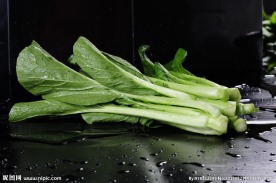 广东菜心