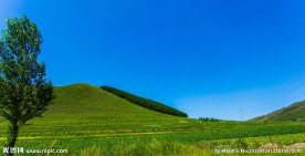 崇礼