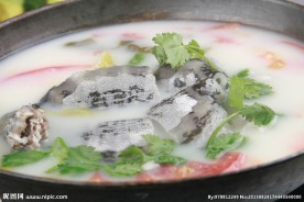 明炉甲鱼