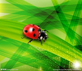绿色叶子上的瓢虫矢量图
