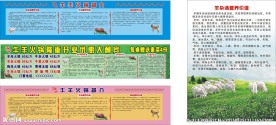 牛羊狗火锅简介
