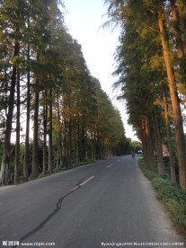 傍晚的乡间小道