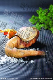 象拔蚌海鲜高清图