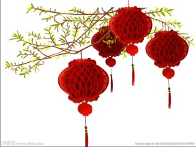 树灯视频