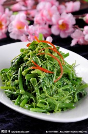 炝拌龙须菜