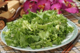 炝拌苦菊