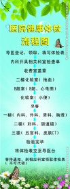 健康体检流程图X展架