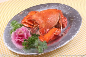 旭蟹