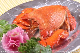 旭蟹