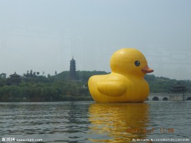 小黄鸭