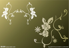 花纹