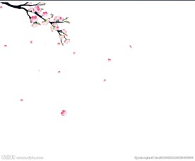 梅花动态视频