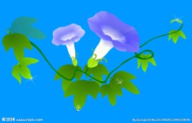 牵牛花动态视频