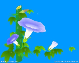 竹子花卉动态视频