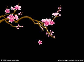 梅花动态视频