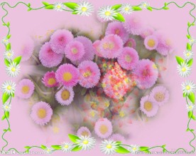 花卉动态视频