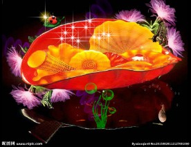 花卉动态视频