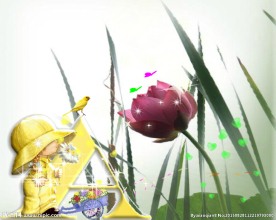 花卉动态视频
