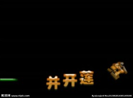 婚礼祝福语视频