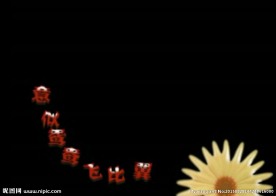 婚礼祝福语视频