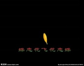 婚礼祝福语视频