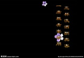 婚礼祝福语视频
