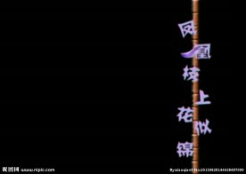 婚礼祝福语视频