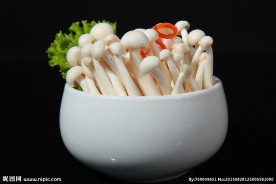白玉菇