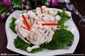 白玉菇