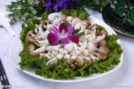 白玉双菇