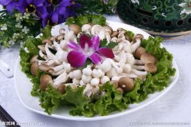 白玉双菇