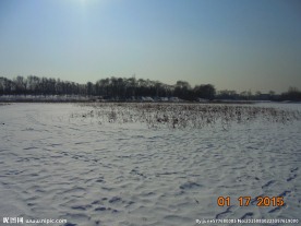 冬天 白雪