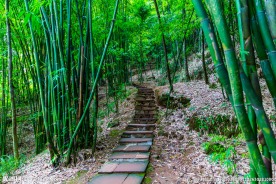 金鸡谷