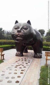 动物雕塑 小浣熊