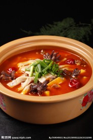 固始汉鹅杂