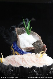 左口鱼
