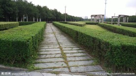 石径
