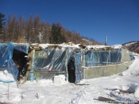 雪屋