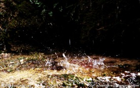 滴水