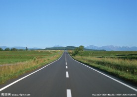 马路麦田