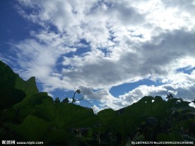 天空