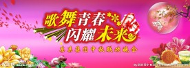 节日  晚会
