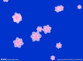 花卉动态背景视频