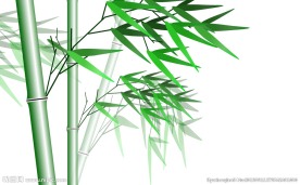 竹子动态背景视频