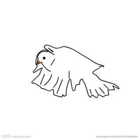 小鸟动态视频